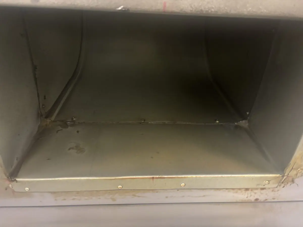 What Is TR19 Grease?
