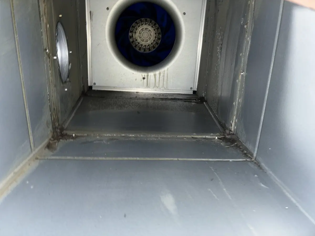 Extractor Fan Cleaning — commercial kitchen extract system
